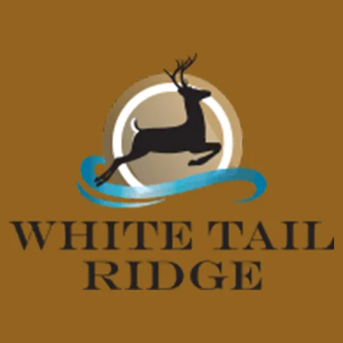 1676543755106-logo 5 1676543755106-logo 5